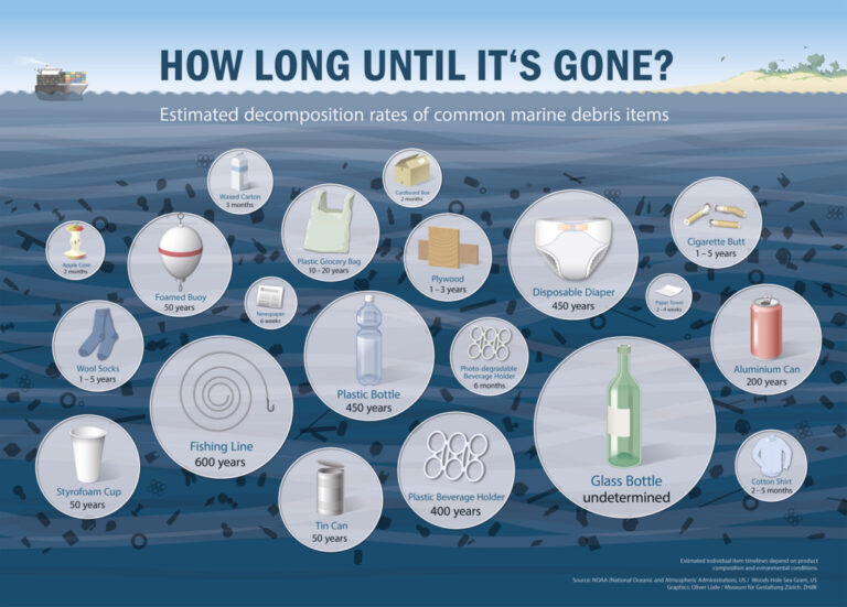 How Long Does It Take For Them To Decompose?